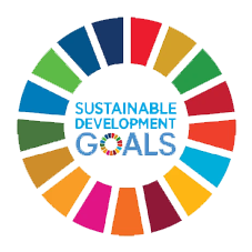icon SDGs